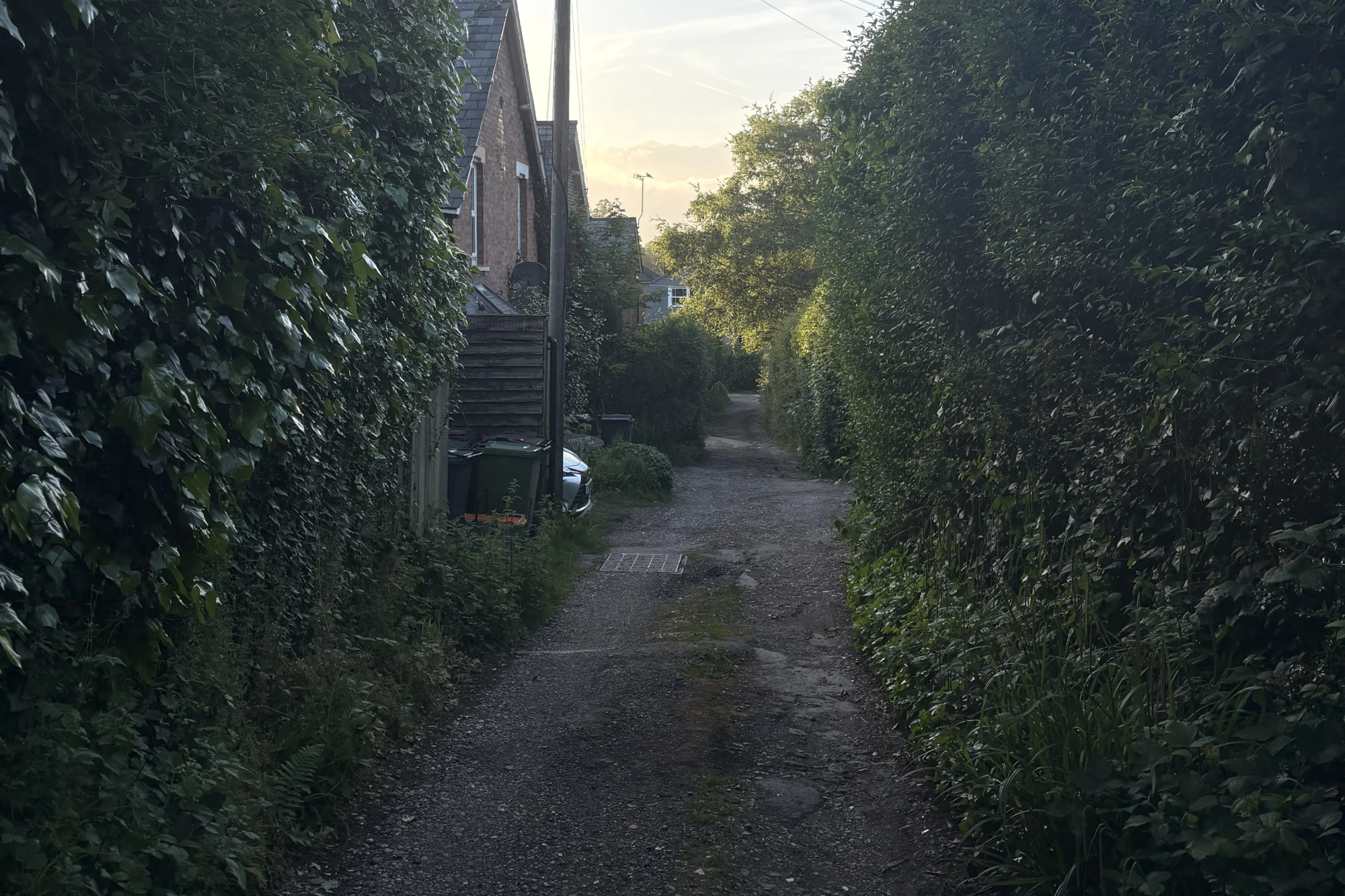 The cottage